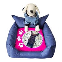 CUCCIA CANE